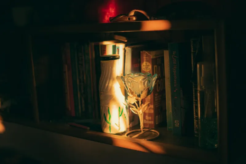 Curated Comfort: The Rise of Britain's Mood-Boosting Book Collections