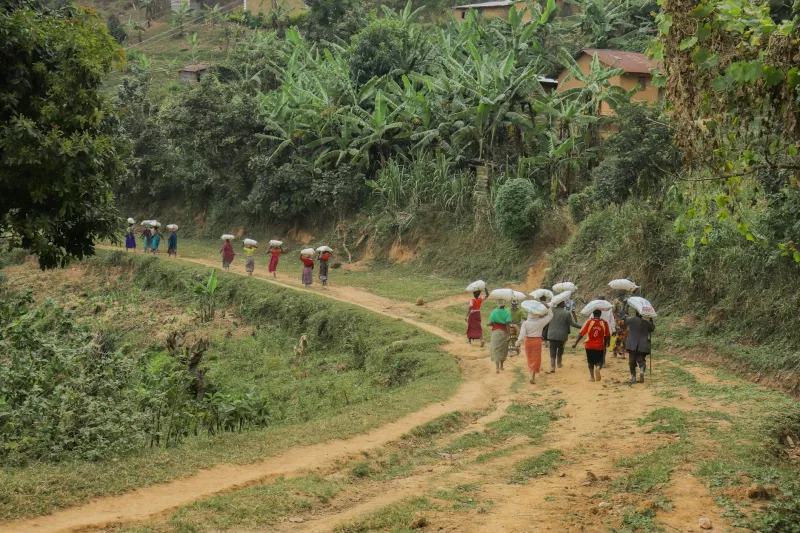 Literary Landscapes: The Walking Groups Discovering Britain's Countryside Through the Eyes of Beloved Authors