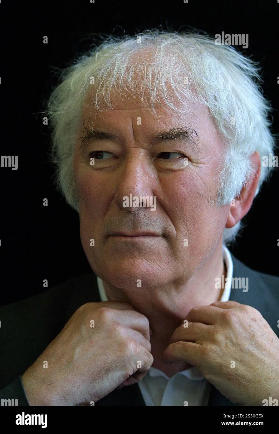 Seamus Heaney