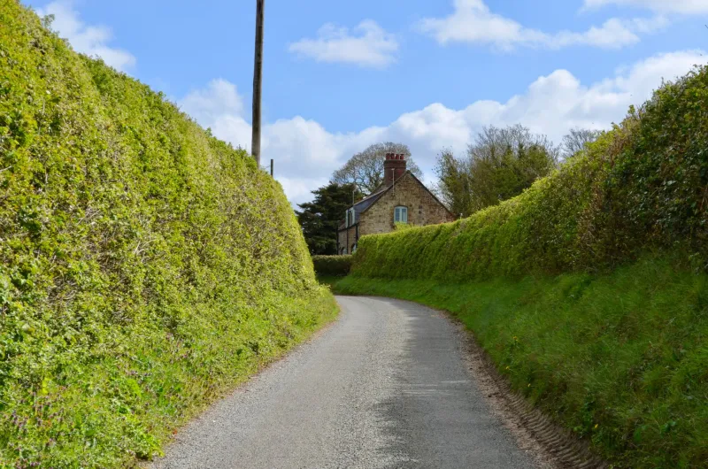 Slow Roads, Big Feelings: Why Britain's B-Road Wanderers Are Finding the Best Stories Off the Beaten Track